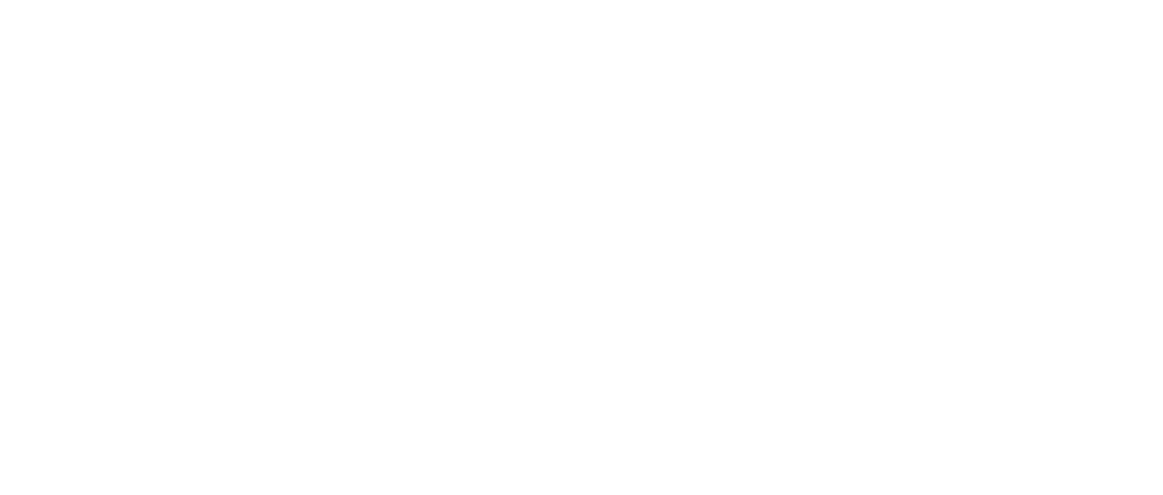 Udinese ASSA ABLOY